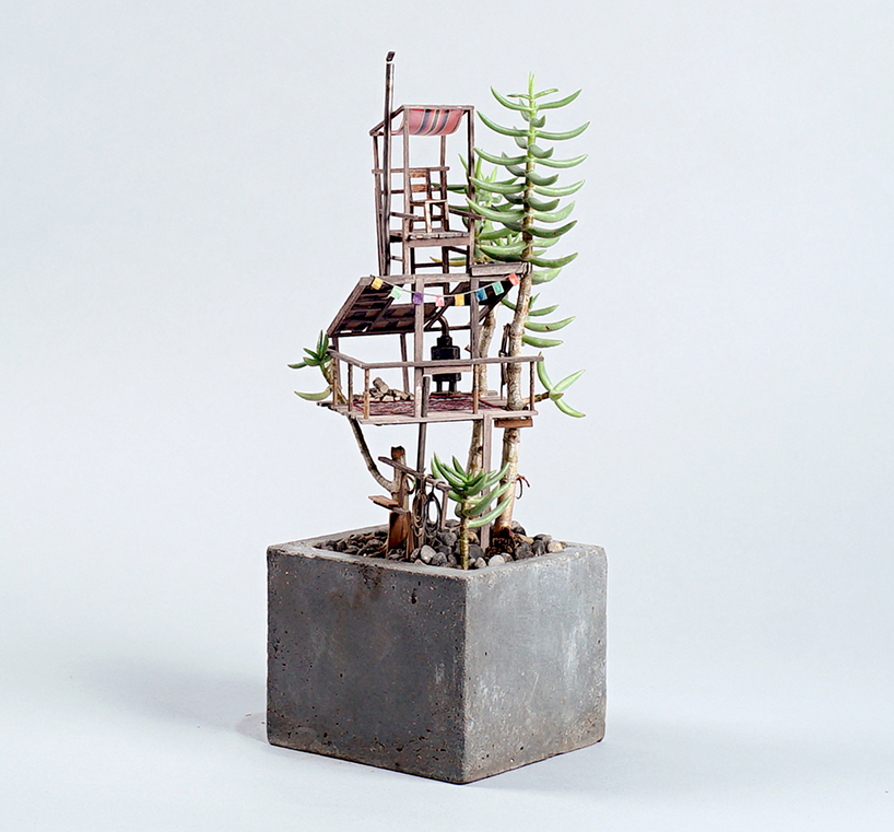 edediah-corwyn-voltz-somewhere-small-succulent-and-cacti-treehouses-design