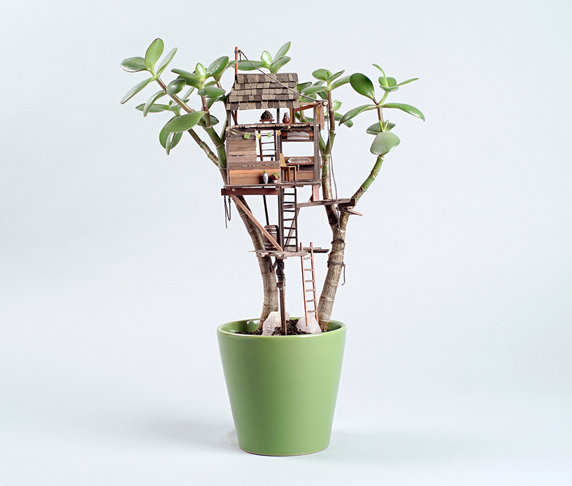 edediah-corwyn-voltz-somewhere-small-succulent-and-cacti-treehouses-design